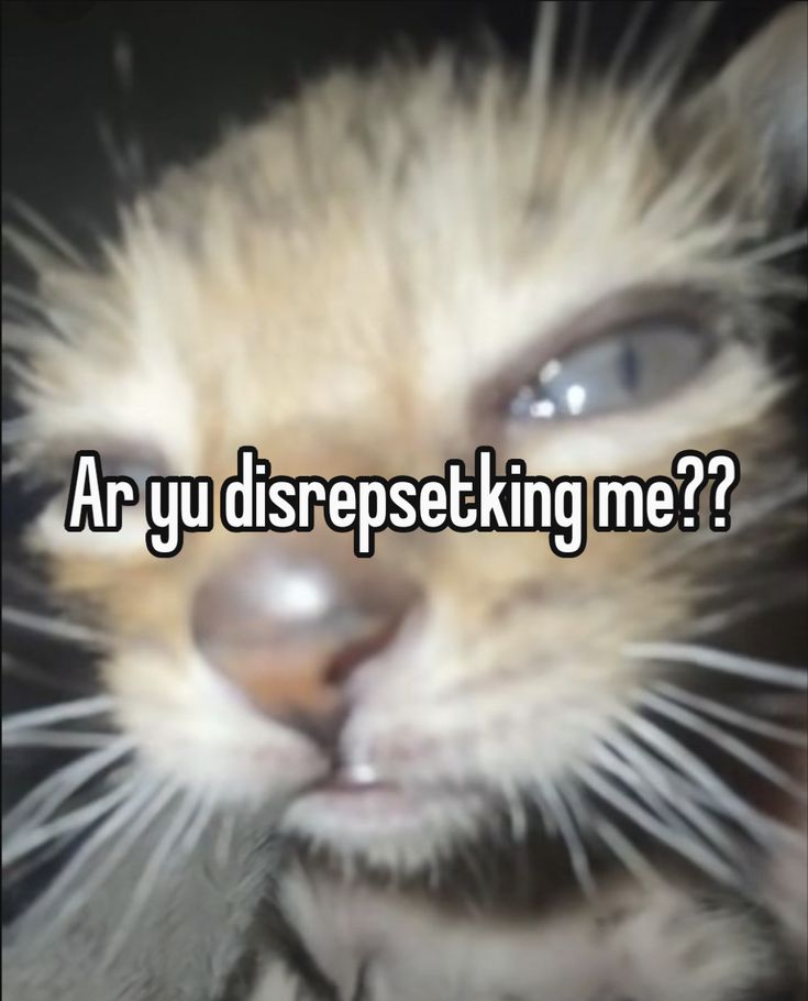 Cybercat 3
